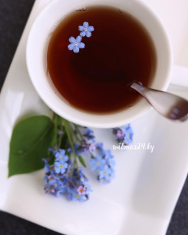 Ложка кофейная 12см ilona WL-999405