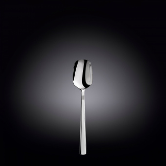 Ложка чайная набор 2шт 15см Miya WL-999301044