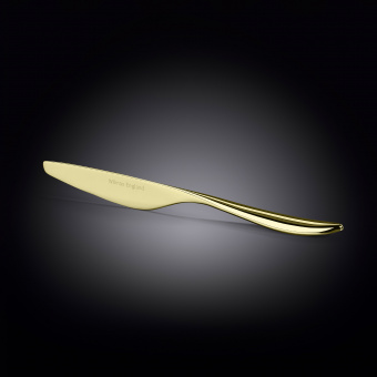 Нож столовый 24 см Sonata Champaghe  WL-999675001