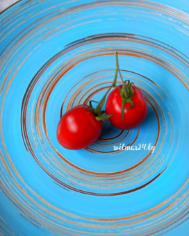 Тарелка обеденная 25,5см WL-669614