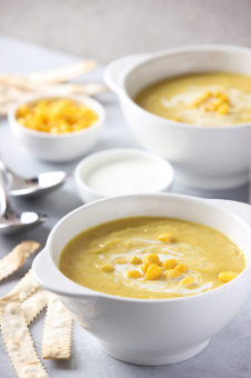 Бульонница фарфоровая купить