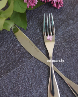 Нож столовый 24см Ilona  WL-999401